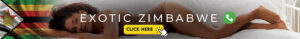 escort zim