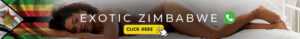 escort zim